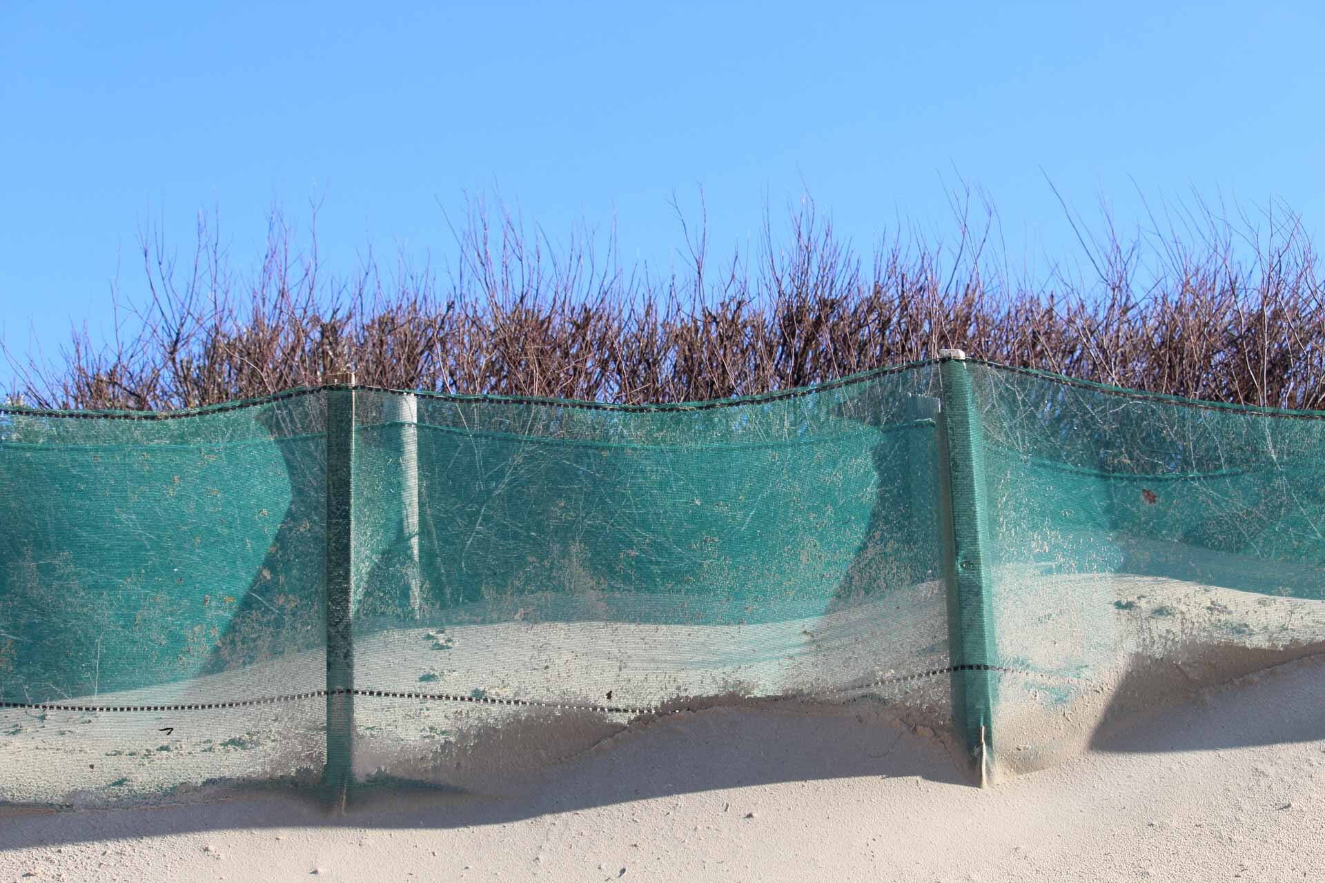 Un filet contre l'érosion des dunes