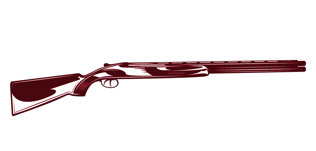 illustration d'un fusil de chasse