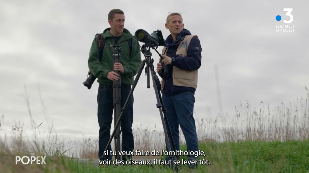 Yves Verilhac, directeur général de la LPO milite pour sortir le renard des espèces nuisibles